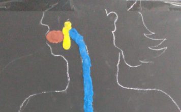 Proyecto “El cuerpo humano y sus sistemas”