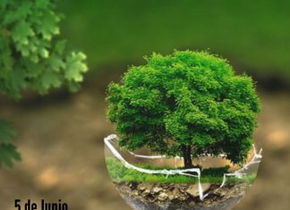 Dia mundial del medio ambiente.