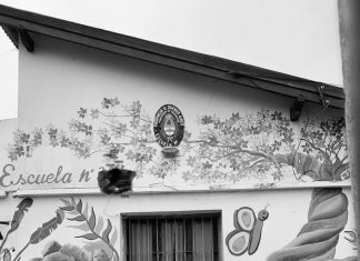 Implementación del Programa ATR