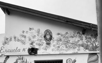 Implementación del Programa ATR